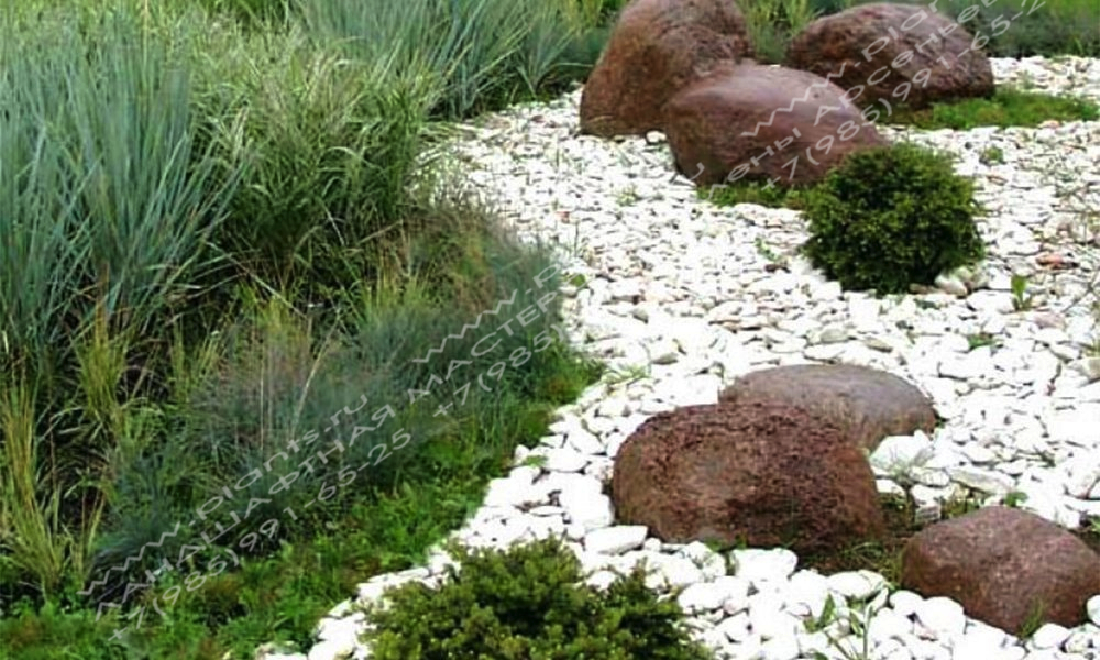 Сад камней в дизайне участка фото